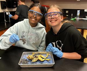 7th grade science dissection 2025 15.jpg
